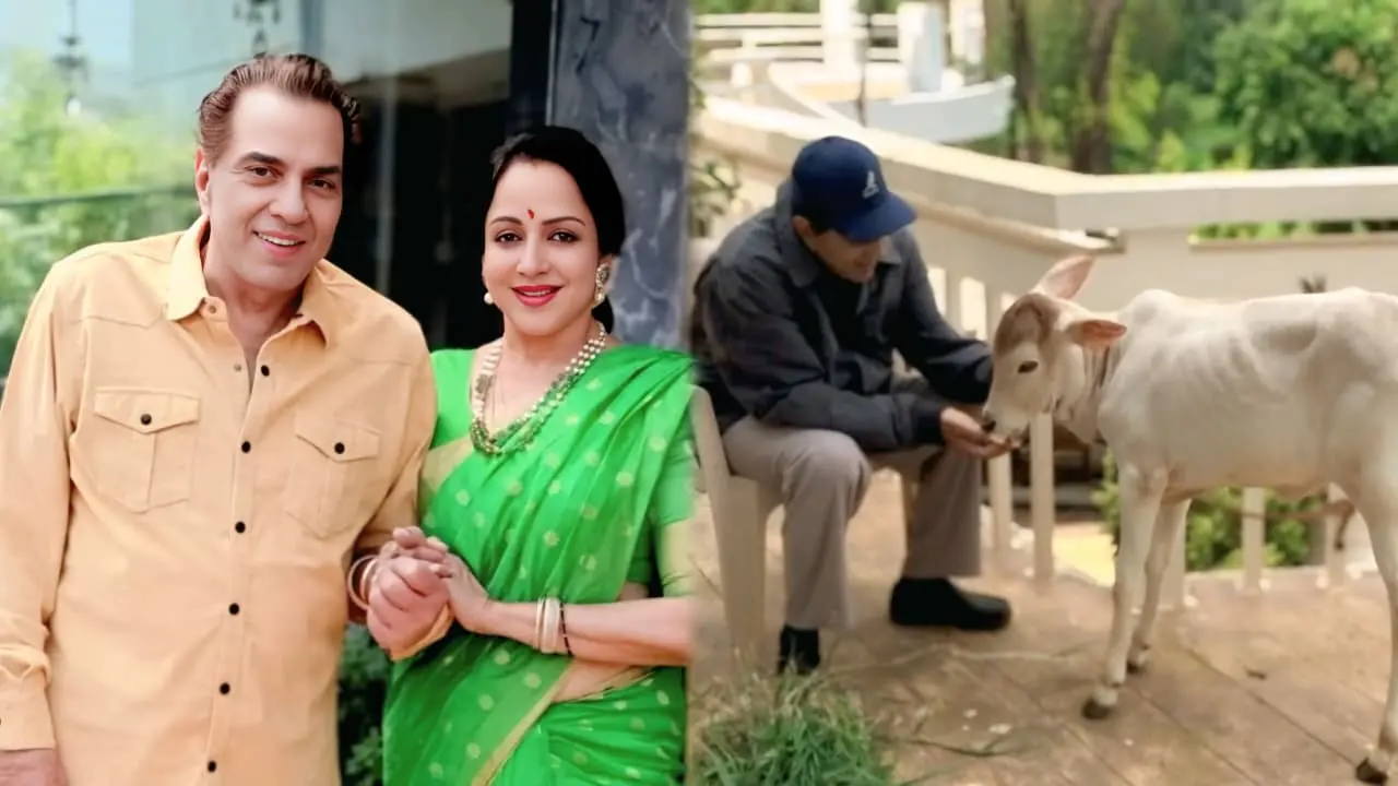 ধর্মেন্দ্র-হেমা মালিনীর প্রেম: ৪৪ বছরের রোমান্সে লুকানো রহস্য